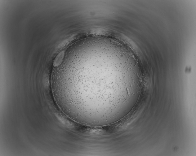 X0000096960401200802151240