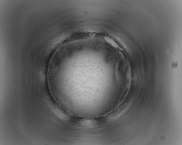 X0000096960402200802151240