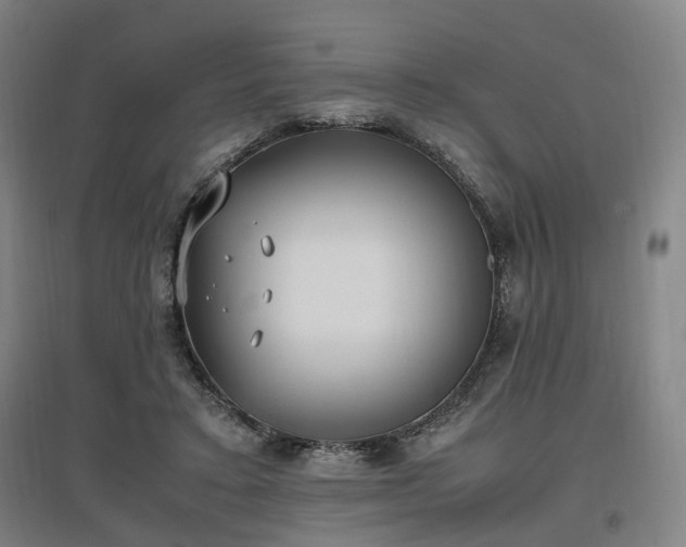 X0000096960403200802151240