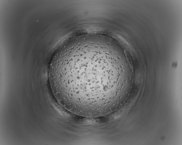 X0000096960405200802151240