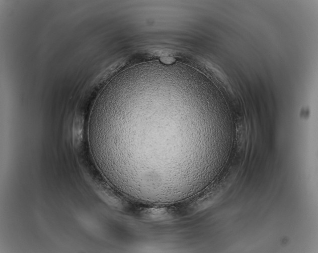 X0000096960406200802151240