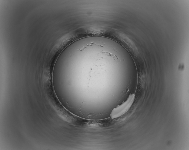 X0000096960407200802151240