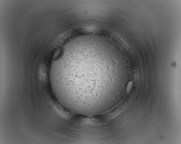 X0000096960408200802151240