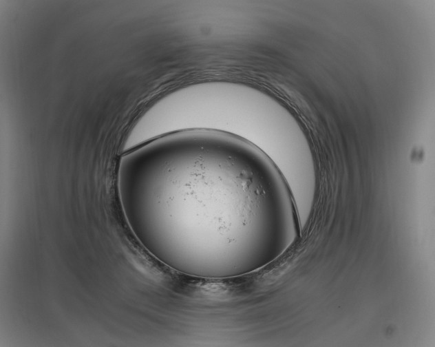 X0000096960409200802151240