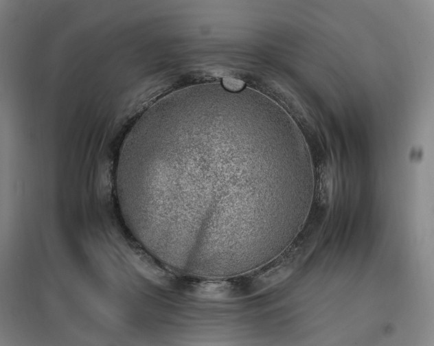 X0000096960410200802151240