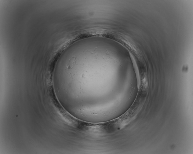 X0000096960411200802151240