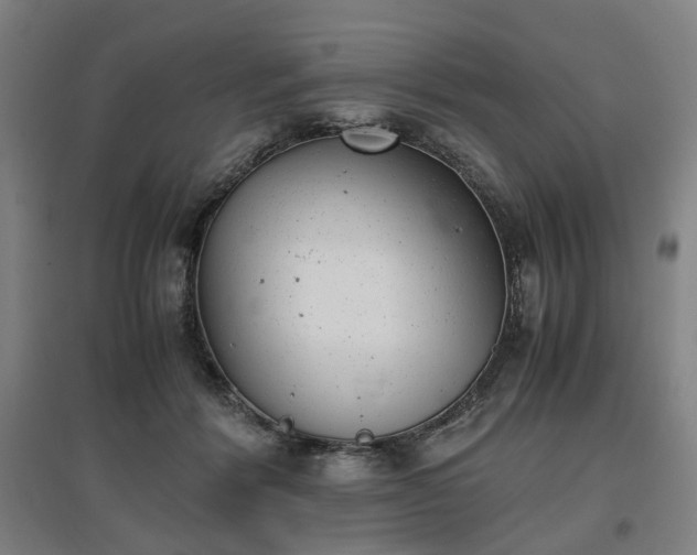 X0000096960412200802151240