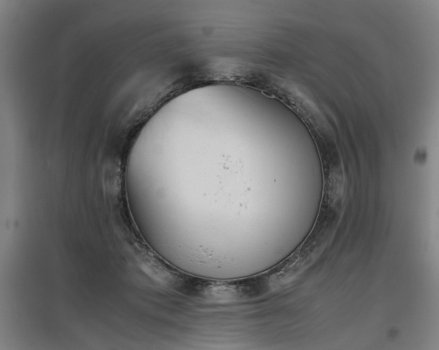 X0000096960413200802151240