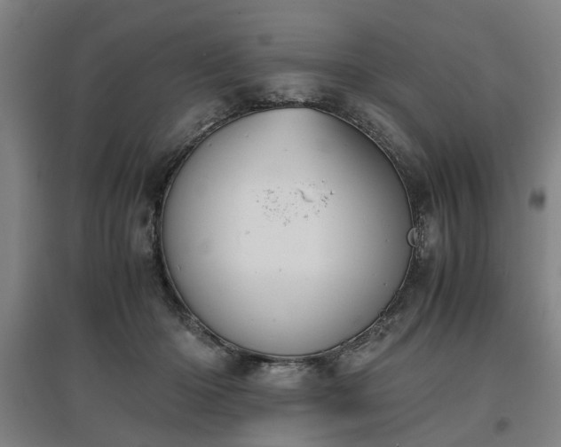 X0000096960414200802151240