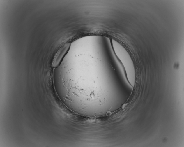 X0000096960415200802151240