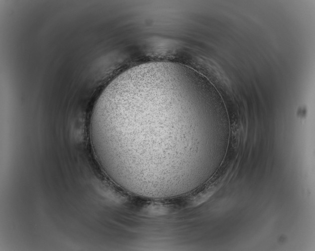 X0000096960416200802151240