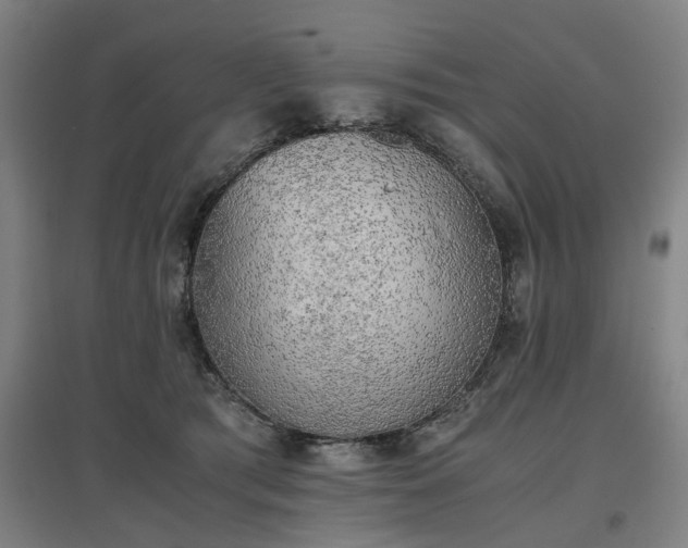 X0000096960417200802151240