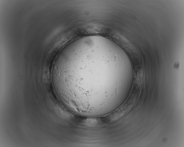 X0000096960418200802151240