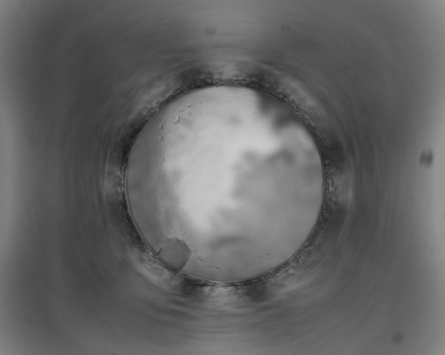 X0000096960419200802151240