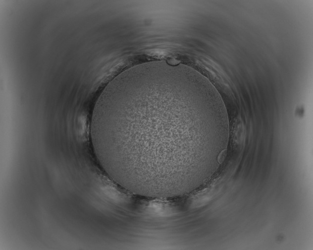 X0000096960420200802151240