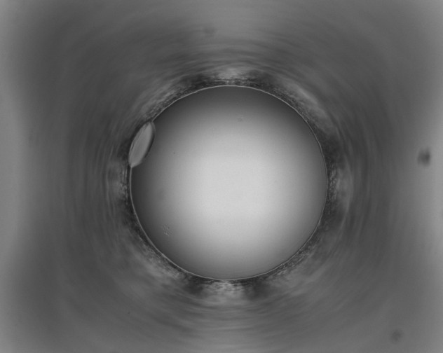 X0000096960421200802151240