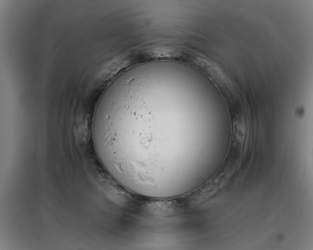 X0000096960422200802151240