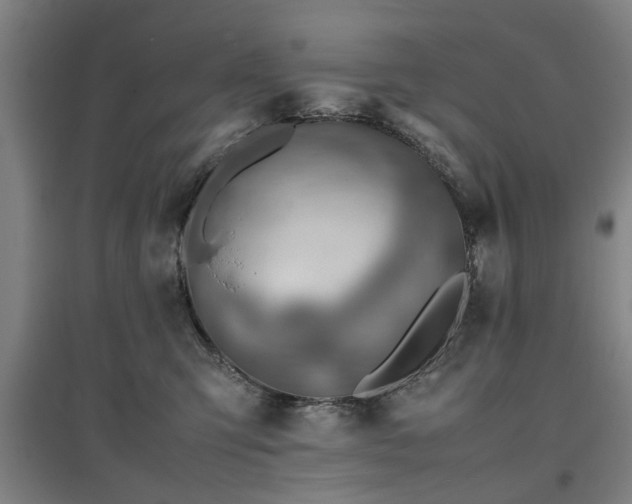 X0000096960423200802151240