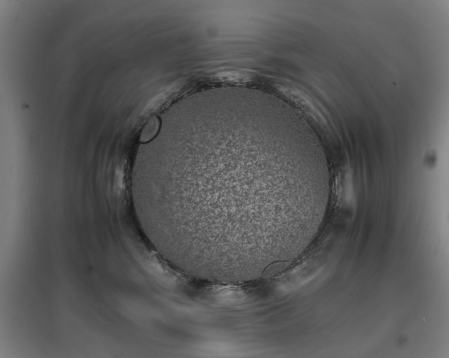 X0000096960424200802151240