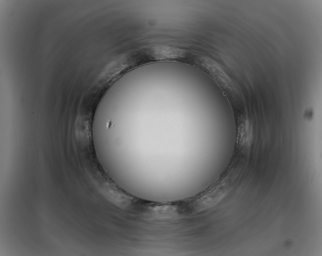 X0000096960426200802151240