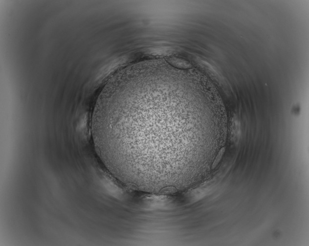 X0000096960428200802151240