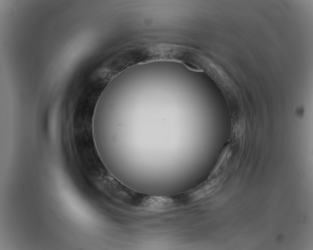 X0000096960429200802151240