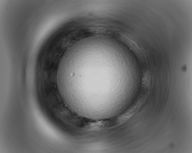 X0000096960430200802151240