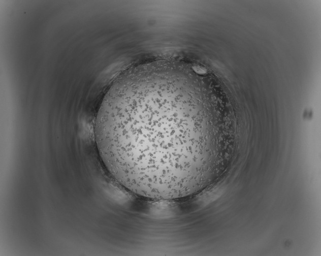 X0000096960432200802151240