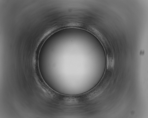 X0000096960435200802151239