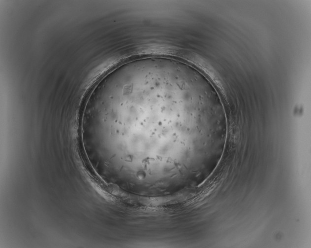 X0000096960437200802151239