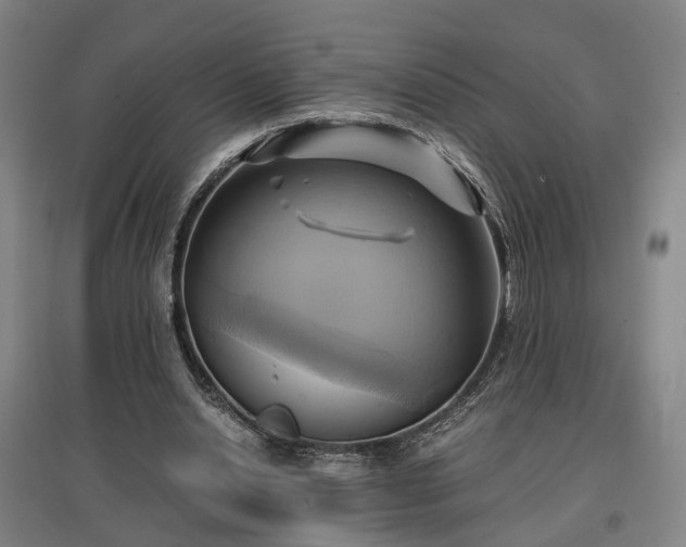 X0000096960438200802151239