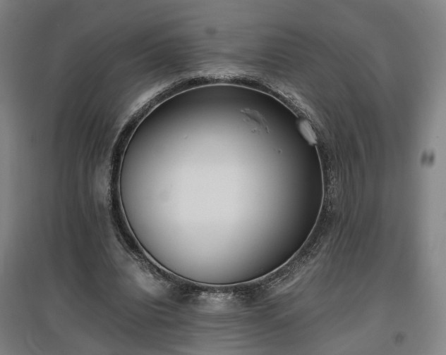 X0000096960440200802151239