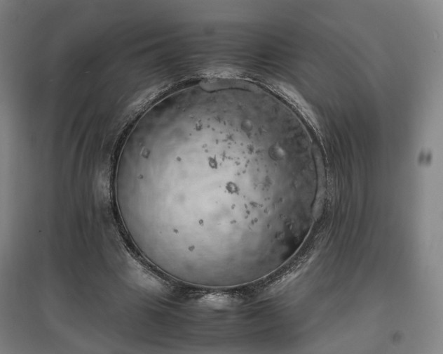 X0000096960441200802151239
