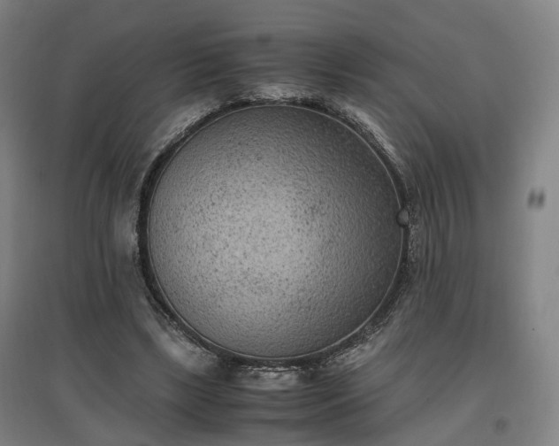 X0000096960443200802151239