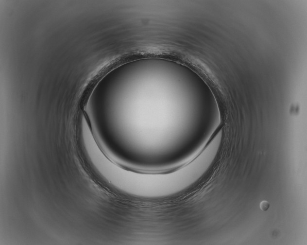 X0000096960444200802151239