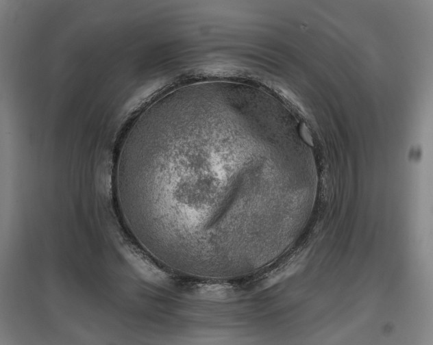 X0000096960446200802151239