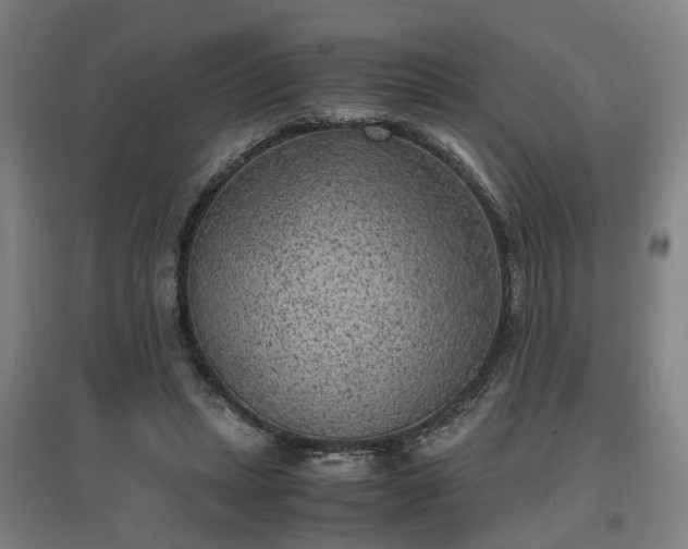 X0000096960447200802151239