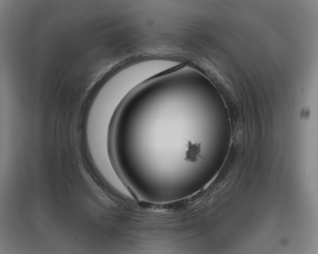 X0000096960448200802151239