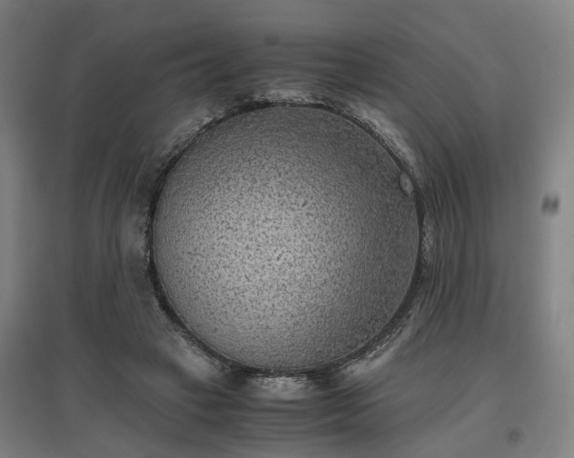 X0000096960449200802151239