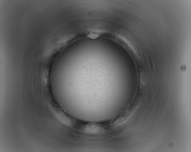 X0000096960451200802151239