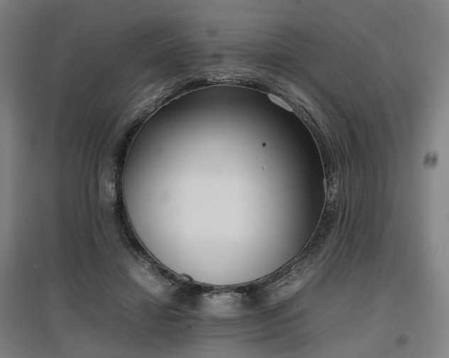 X0000096960452200802151239