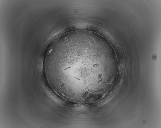 X0000096960454200802151239