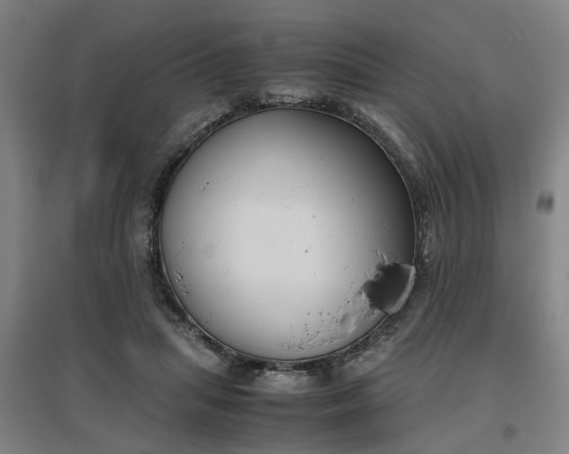 X0000096960455200802151239