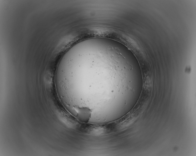 X0000096960456200802151239