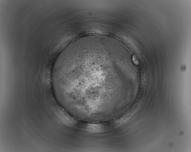 X0000096960457200802151239