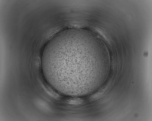 X0000096960459200802151240