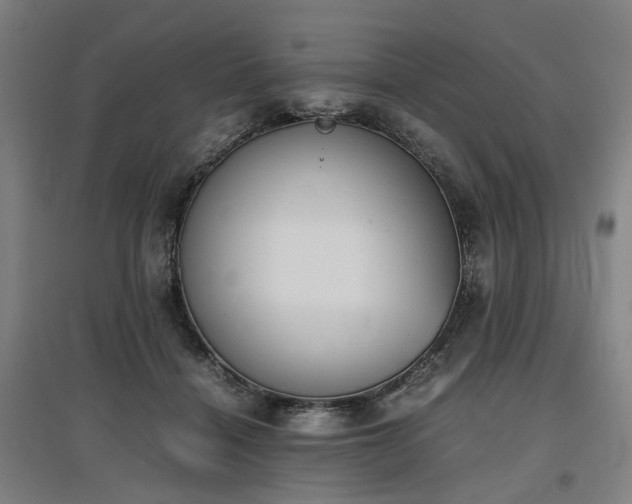 X0000096960460200802151240