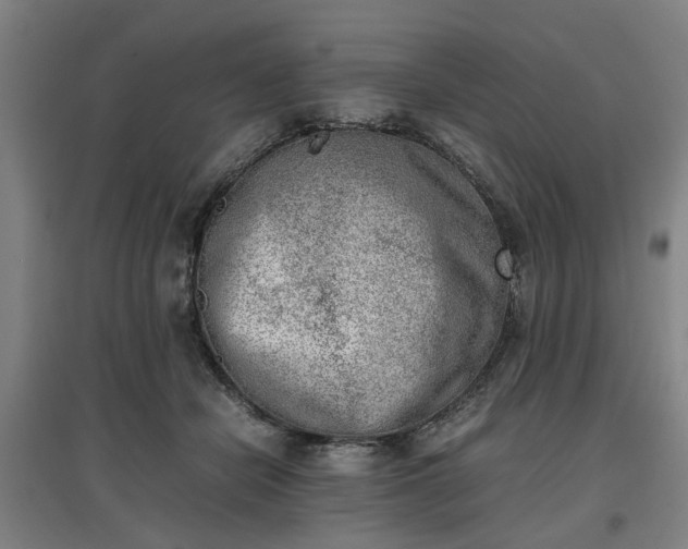 X0000096960462200802151240