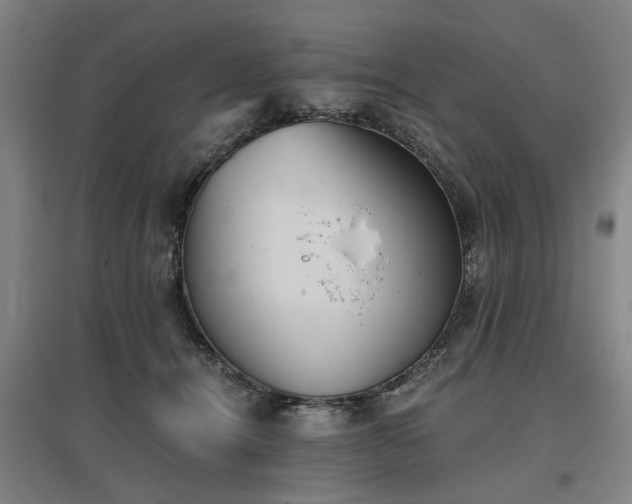 X0000096960464200802151240