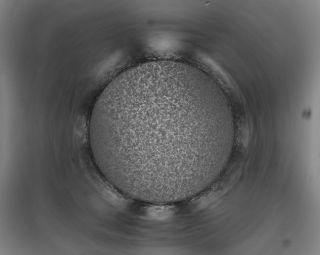 X0000096960465200802151240